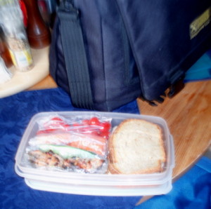 Packed lunch, ready to travel - Inhabited Kitchen.com