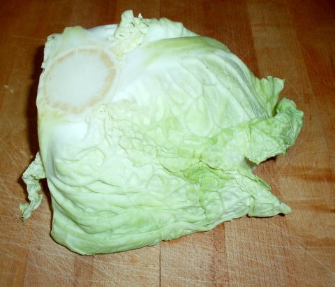 Hungarian Cabbage Noodles - Inhabited Kitchen