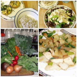 Snapshot of a day's food - www.inhabitedkitchen.com