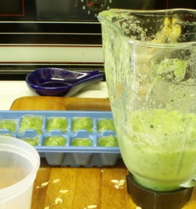 Pureeing cucumbers - www.inhabitedkitchen.com