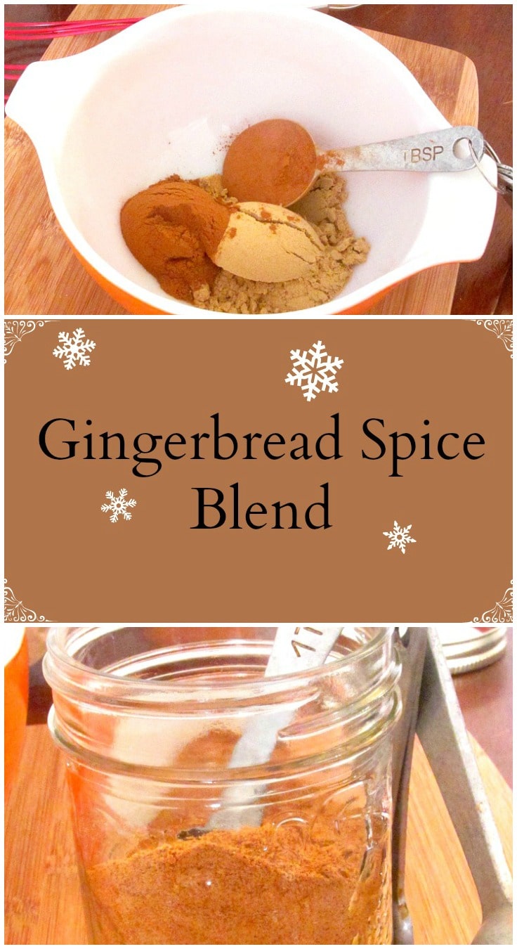 A simple spice blend to make at home, and then use in all kinds of recipes for that quick gingerbread flavor.